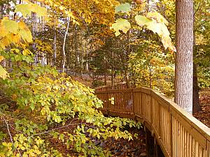 The Boardwalk and Pathway the provides 
access to the Lake